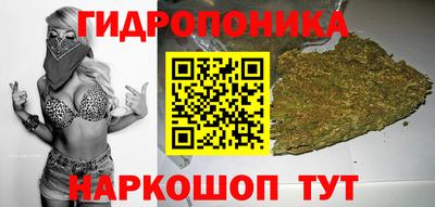 тгк Волгодонск