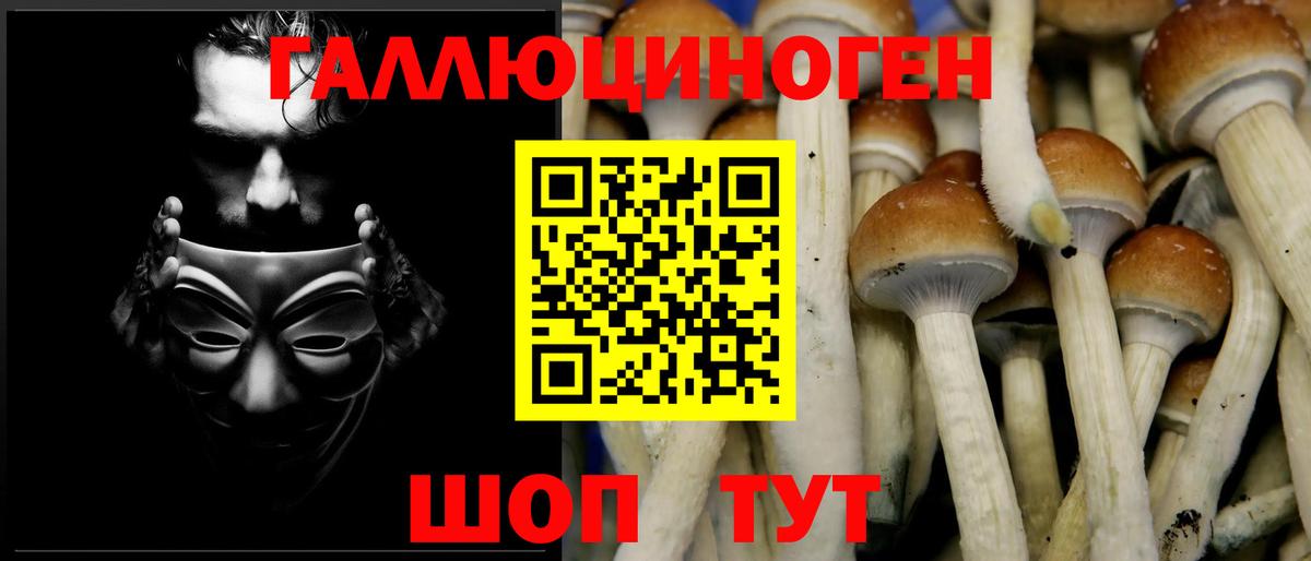 Псилоцибиновые грибы мухоморы  Псилоцибиновые грибы GOLDEN TEACHER  Ростов Великий  Вход с VPN 