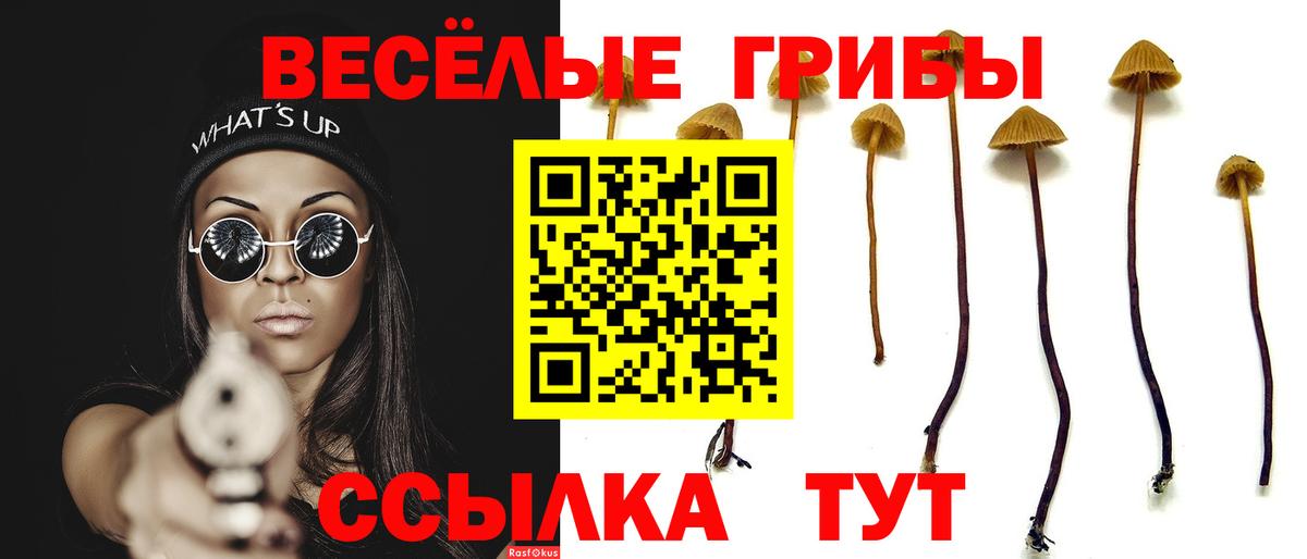 Псилоцибиновые грибы мицелий Ростов Великий